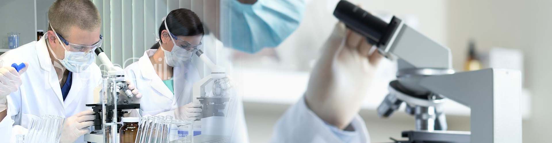 laboratorytesting.net